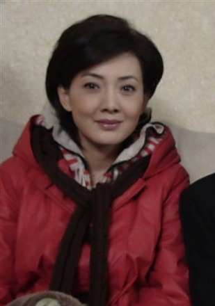 完美婚禮(2010年夏鋼執導的電視劇) 完美婚禮(2010年夏鋼執導的電視劇)