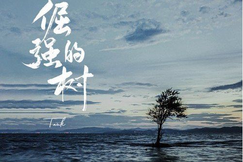 倔強的樹(Tank演唱的歌曲) 倔強的樹(Tank演唱的歌曲)