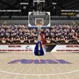 NBA季後賽(flash小遊戲) NBA季後賽(flash小遊戲)