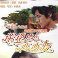 談談心戀戀愛(2006年朱傳光執導電視劇) 談談心戀戀愛(2006年朱傳光執導電視劇)