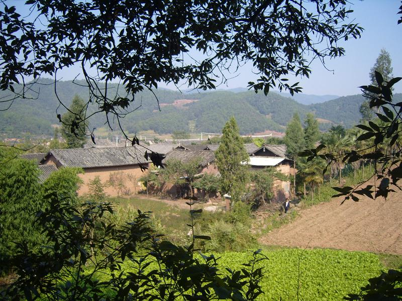 皎西村 皎西村