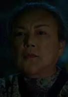 迷離夜(2013年陳果、李志毅、任達華執導電影)