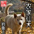 農家仙犬 農家仙犬