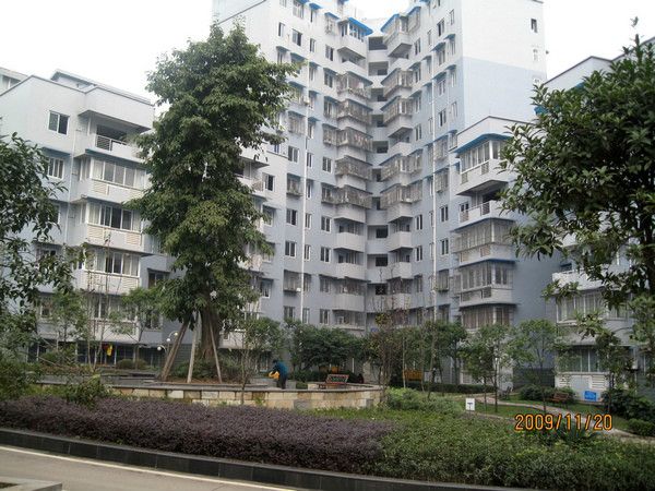 文星花園 文星花園