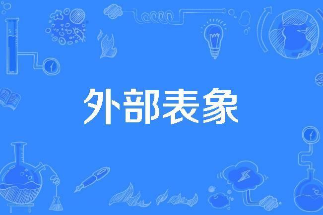 外部表象 外部表象