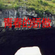 青春的驕傲 青春的驕傲