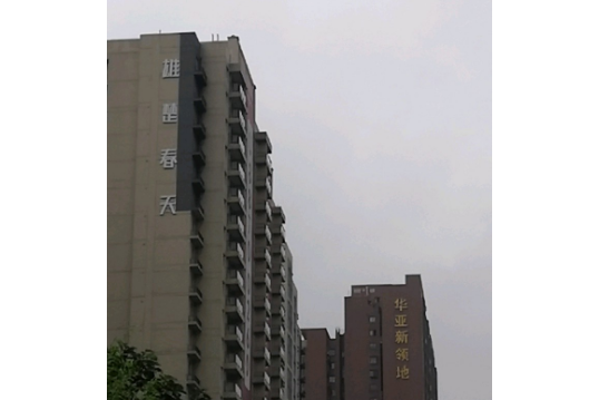 雄楚春天 雄楚春天