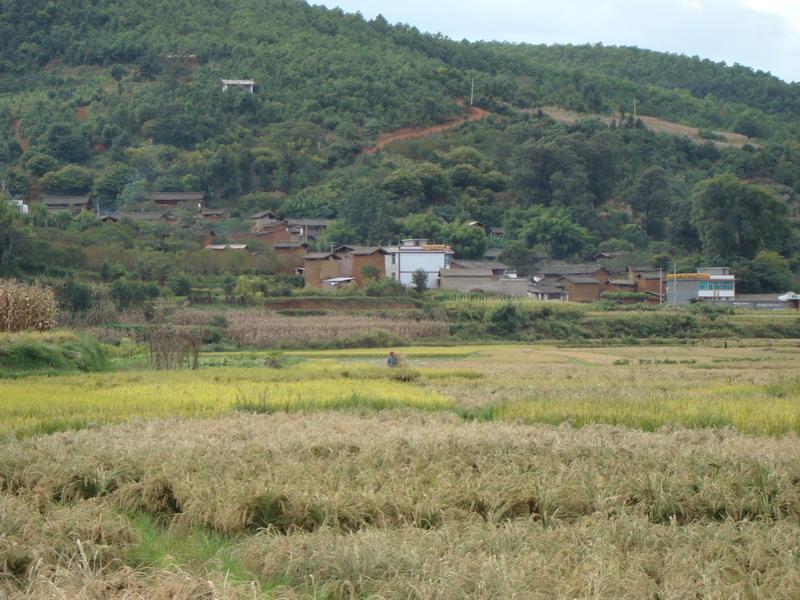 永兆下村 永兆下村