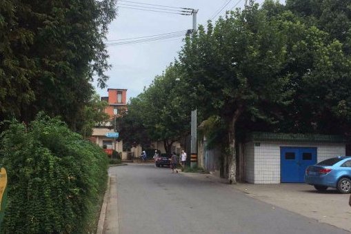 盛橋一村 盛橋一村