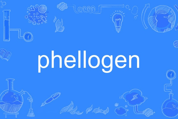 phellogen phellogen