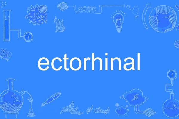 ectorhinal ectorhinal