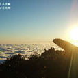 泰山極頂