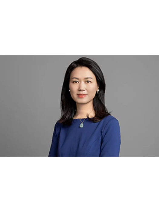 陳琳(殼牌中國公司董事長) 陳琳(殼牌中國公司董事長)