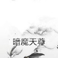 暗魔天尊 暗魔天尊