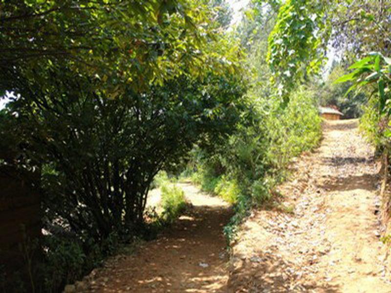 團團河村