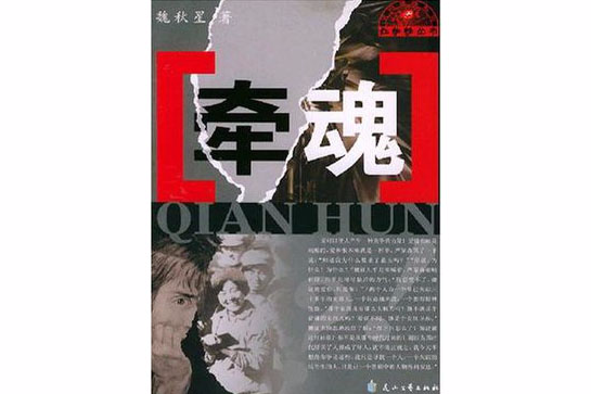 牽魂(2005年花山文藝出版社出版的圖書) 牽魂(2005年花山文藝出版社出版的圖書)