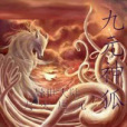 九元神狐 九元神狐