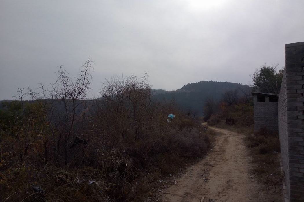 聖王山 聖王山