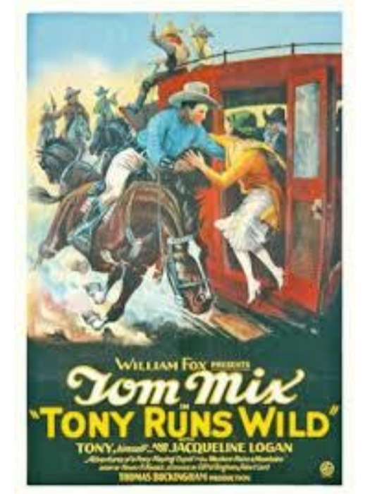 Tony Runs Wild Tony Runs Wild