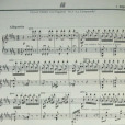 鐘(李斯特作於1834年的世界名曲) 鐘(李斯特作於1834年的世界名曲)