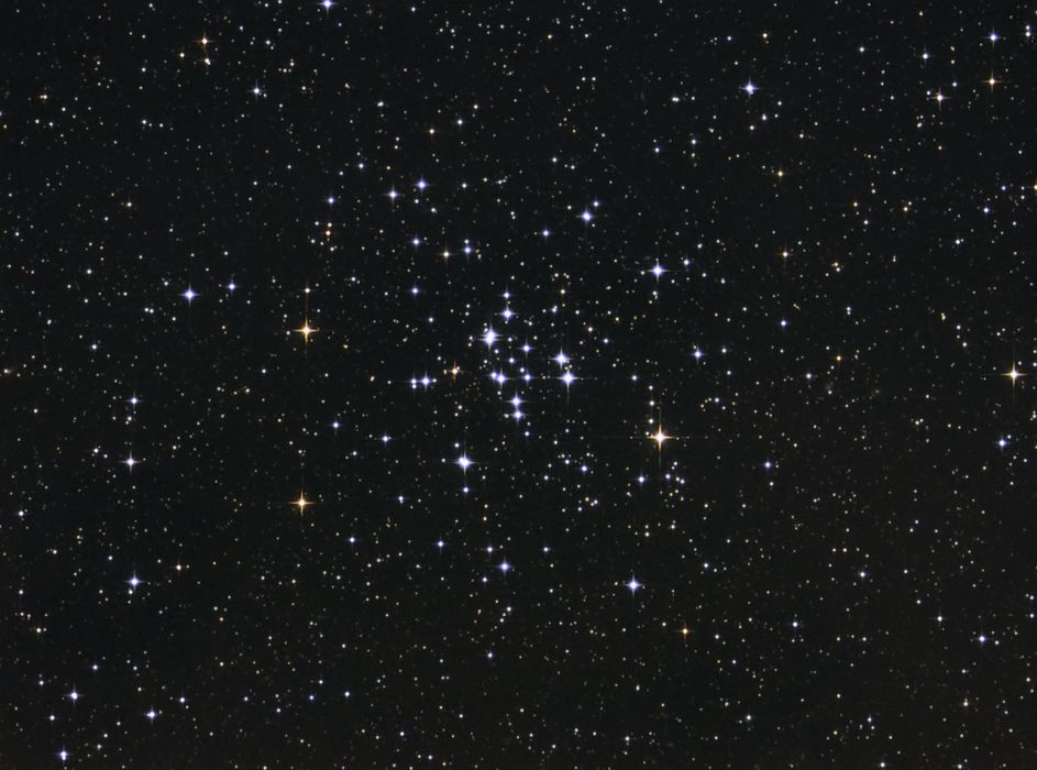 M34(NGC 1039) M34(NGC 1039)