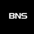 BNS BNS