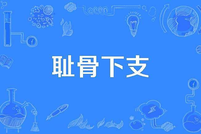 恥骨下支 恥骨下支