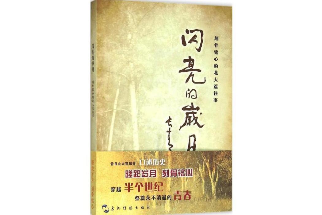 閃亮的歲月(2015年五洲傳播出版社出版的圖書)