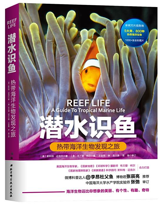 潛水識魚 潛水識魚