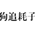 狗追耗子