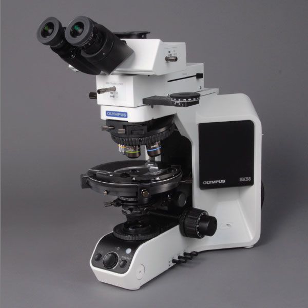 奧林巴斯顯微鏡BX53