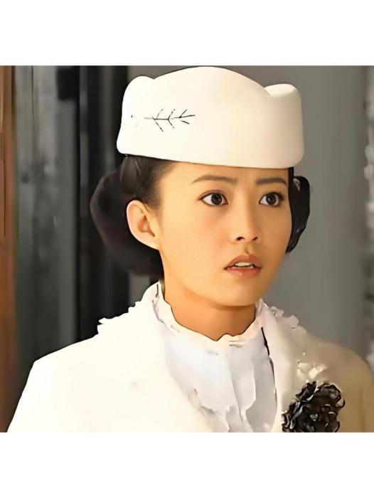林思羽(武俠劇《精武飛鴻》中的角色)