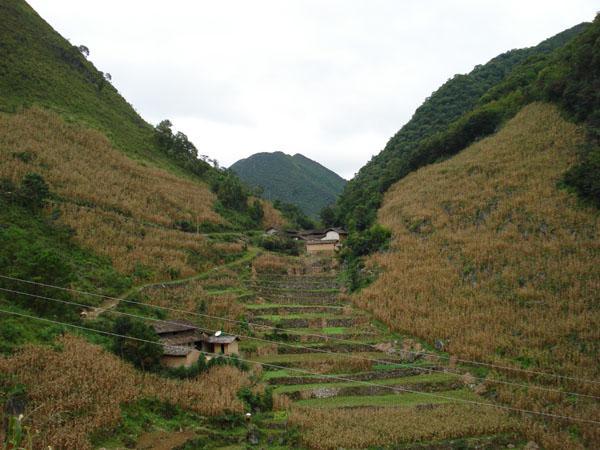 蘇麻地村 蘇麻地村