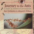 Journey to the Ants Journey to the Ants