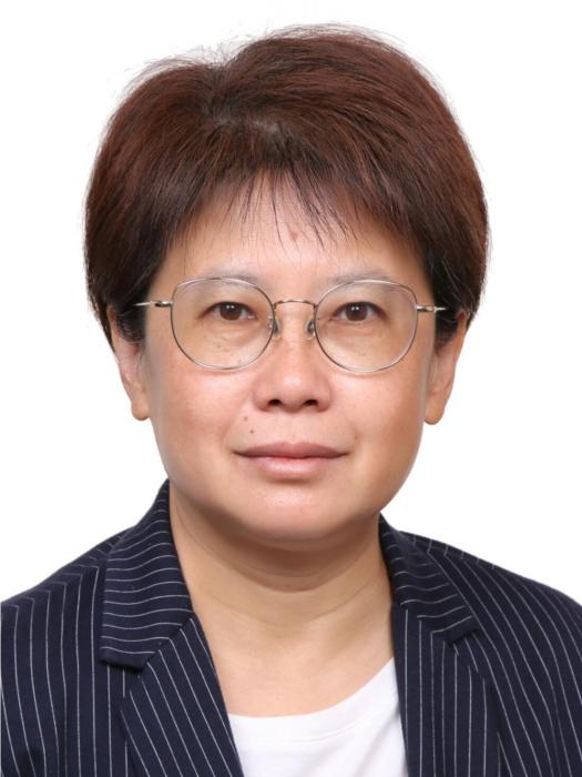 陳新(中國出版傳媒股份有限公司財務總監兼財務部主任) 陳新(中國出版傳媒股份有限公司財務總監兼財務部主任)