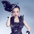 熊文(中國內地女歌手)