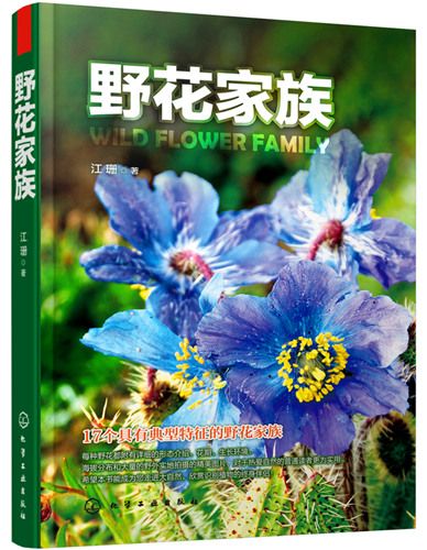 野花家族 野花家族