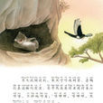 寒號鳥(國小課文篇目) 寒號鳥(國小課文篇目)
