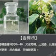 香樟油 香樟油