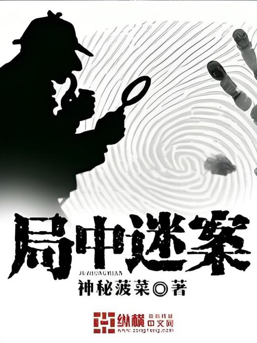 局中迷案 局中迷案