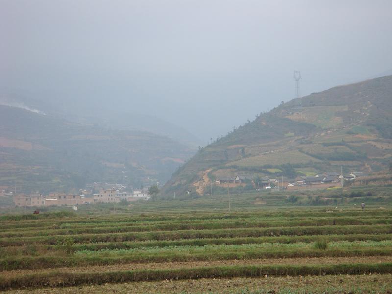 米總村 米總村