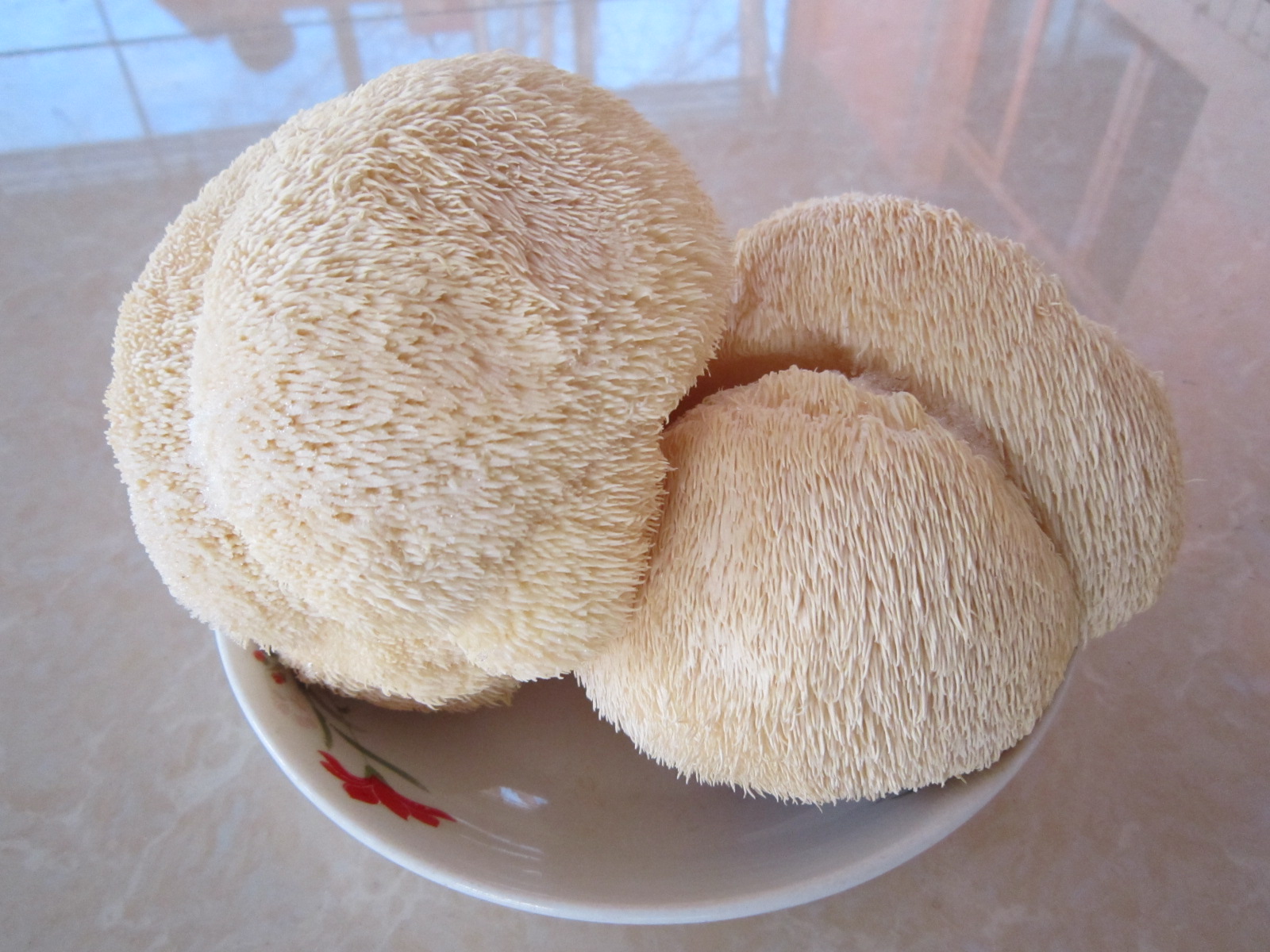 海林猴頭菇