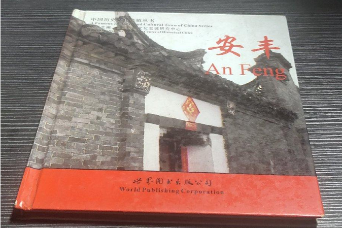 安豐(2008年廣東世界圖書出版公司出版的圖書)