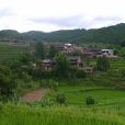 石板河村(雲南楚雄市子午鎮下轄村)