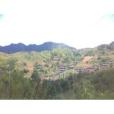 太山崎 太山崎
