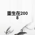 重生在2008 重生在2008