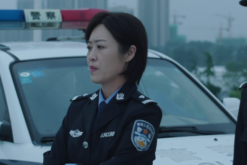 何平(當代涉案劇《分界線》中的角色) 何平(當代涉案劇《分界線》中的角色)