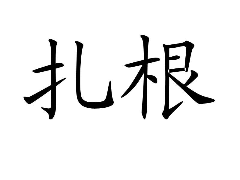 紮根(漢語辭彙) 紮根(漢語辭彙)