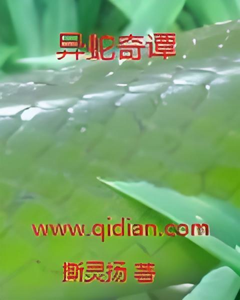 異蛇奇譚 異蛇奇譚
