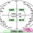 膽汁質 膽汁質